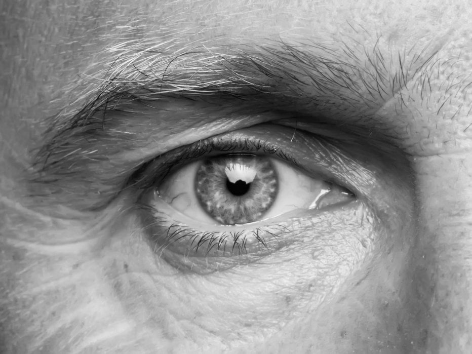 Close-up d'un œil : paupières, cils et bord libre